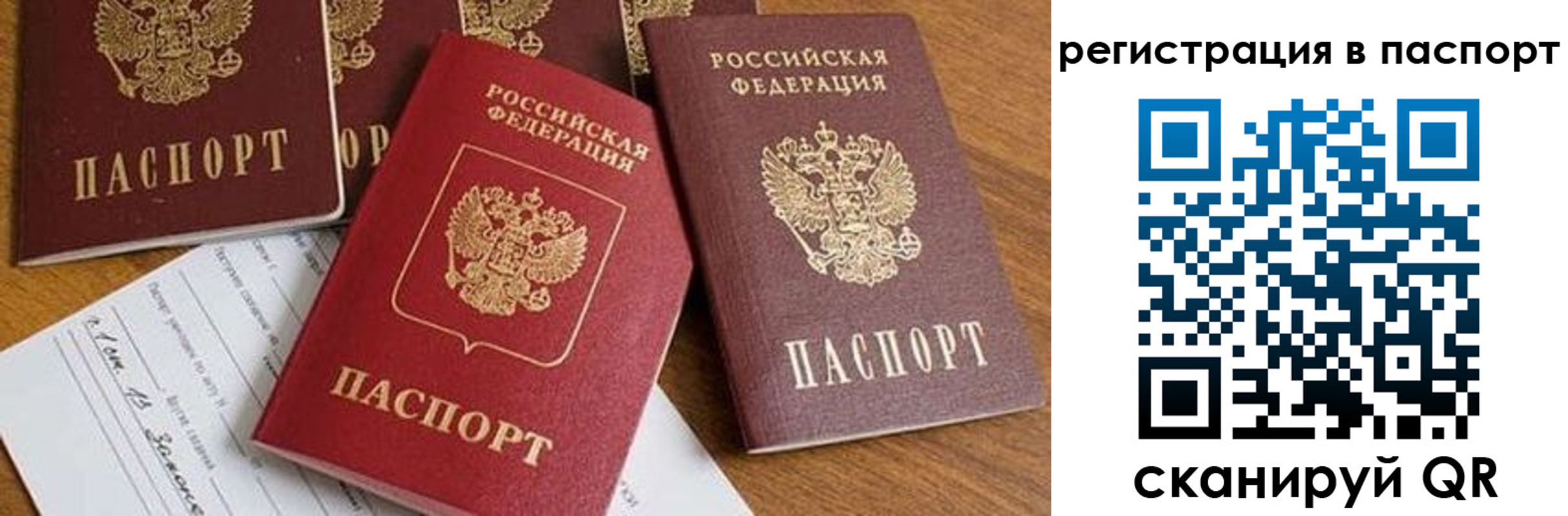 прописка в Новошахтинске